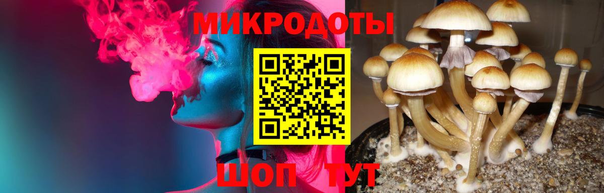 Псилоцибиновые грибы прущие грибы Строитель
